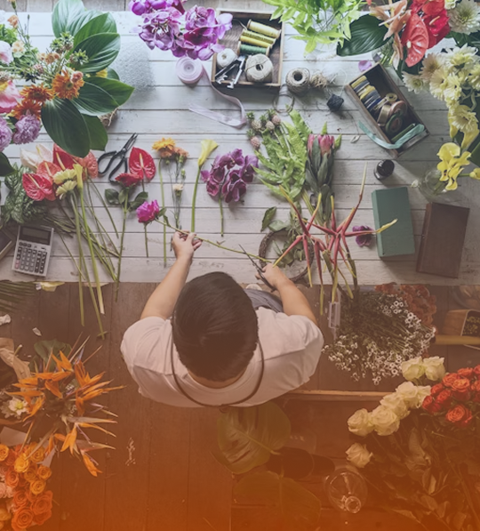 Flower & Plant Store